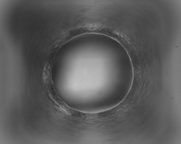 X0000075411349200609081300