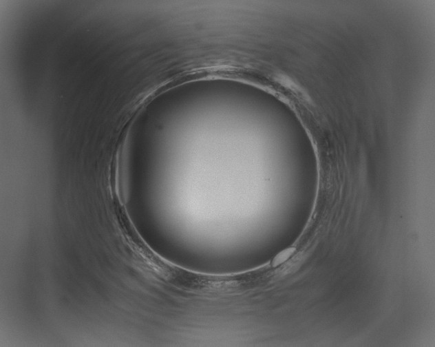 X0000075411353200609081300