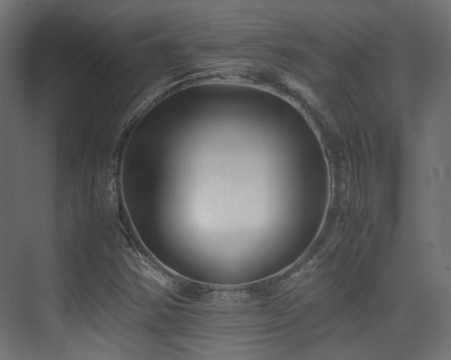 X0000075411354200609081300