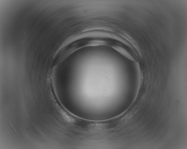 X0000075411377200609081300