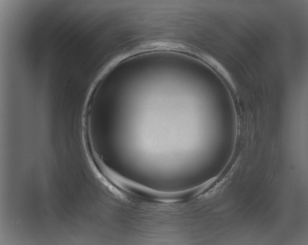 X0000075411381200609081300