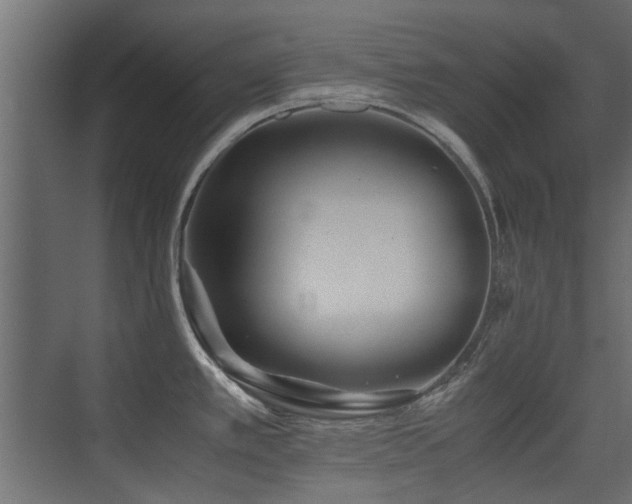 X0000075411389200609081300