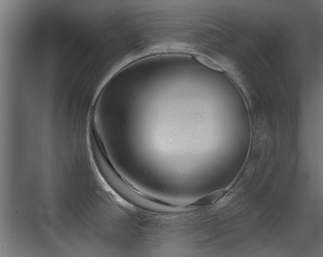 X0000075411390200609081300