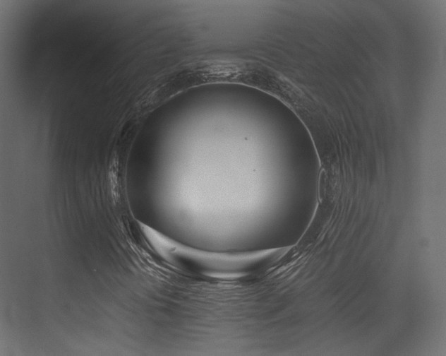 X0000075411394200609081259