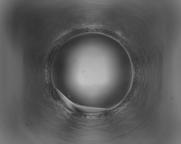 X0000075411398200609081259