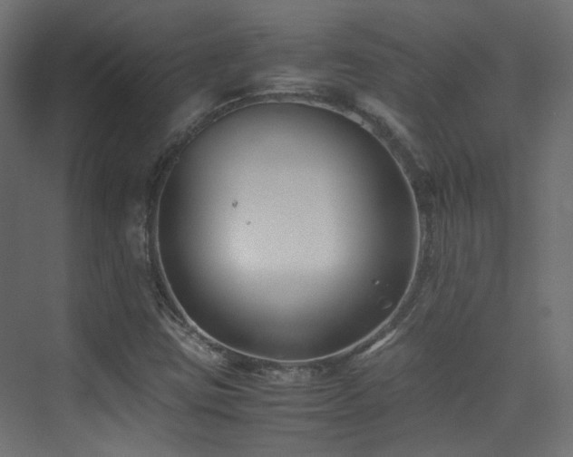 X0000075411403200609081259