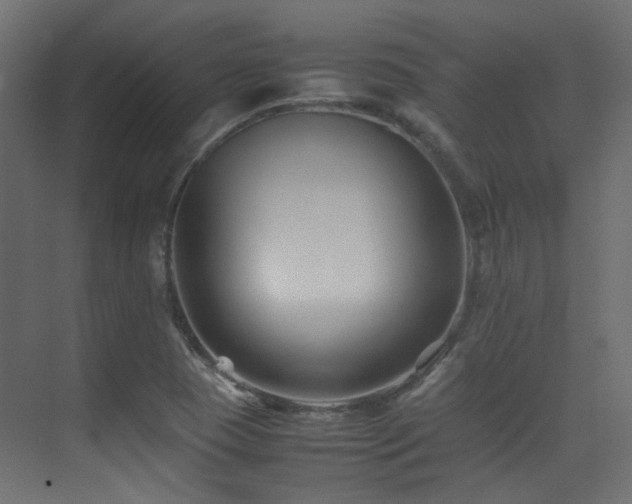 X0000075411409200609081259
