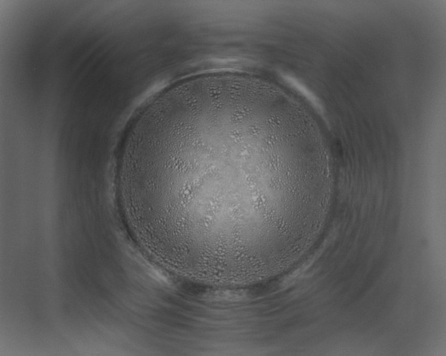 X0000075411411200609081259
