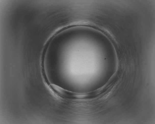 X0000075411422200609081259