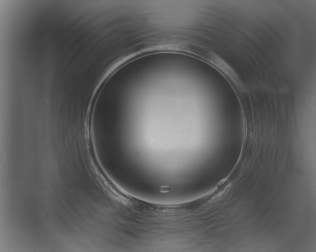 X0000075411436200609081300