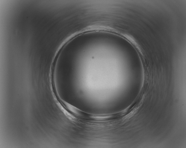 X0000075411438200609081300