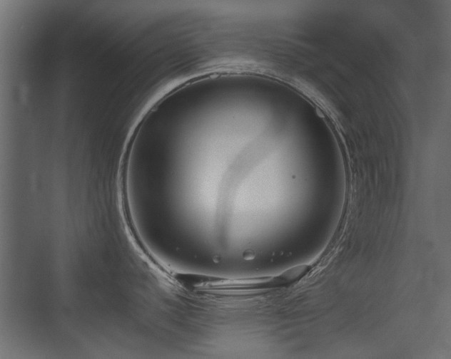 X0000075411440200609081300