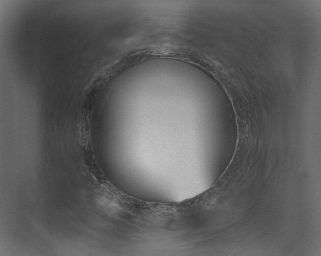 X0000075411446200609081259