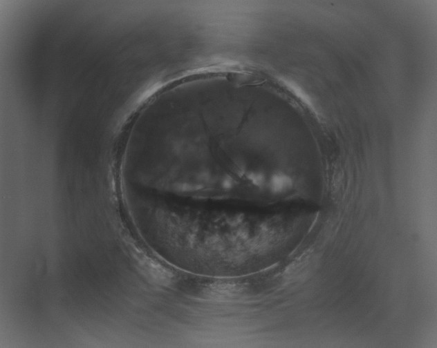 X0000075411455200609081259