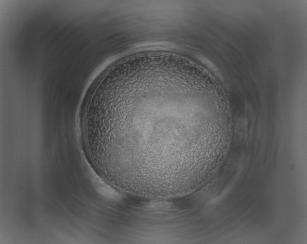 X0000075411466200609081258