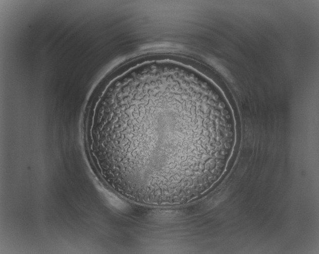 X0000075411474200609081258