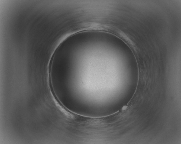 X0000075411479200609081258