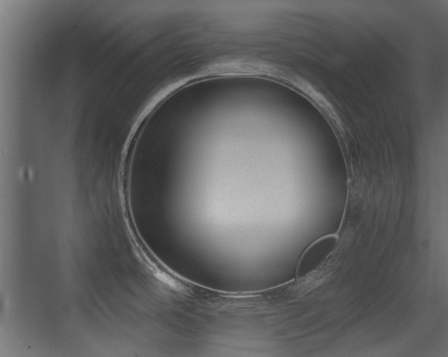 X0000075411486200609081258