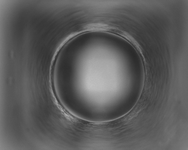 X0000075411488200609081258