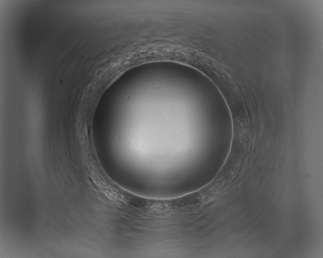 X0000075411489200609081257