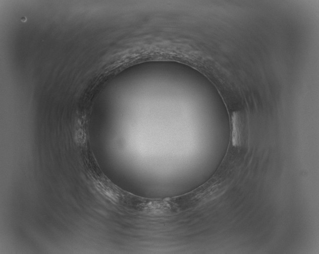 X0000075411491200609081257