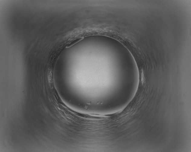 X0000075411492200609081257