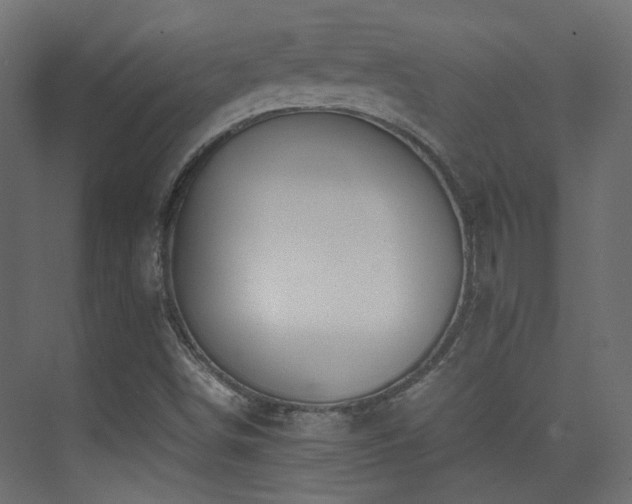 X0000075411498200609081257