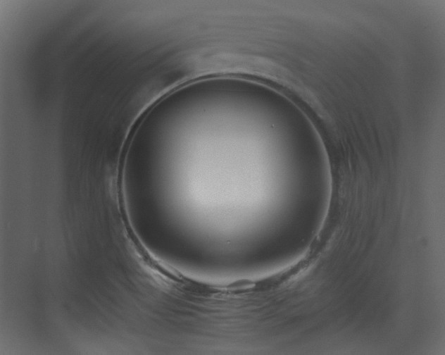X0000075411513200609081258