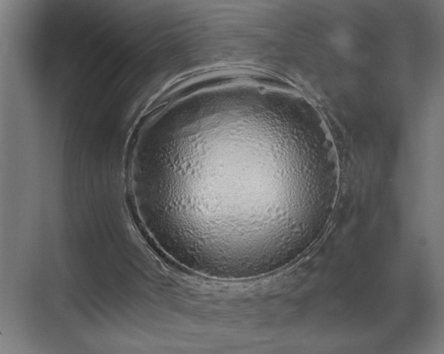 X0000075410002200609151859