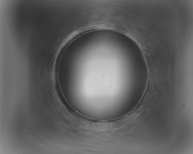 X0000075410008200609151859