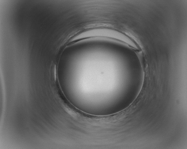 X0000075410013200609151859