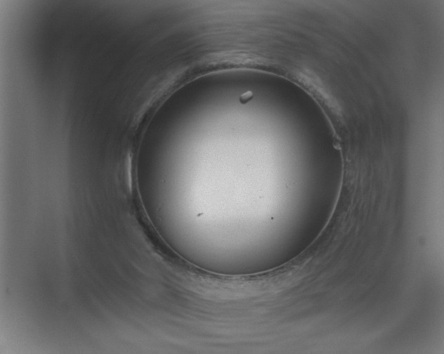 X0000075410014200609151859
