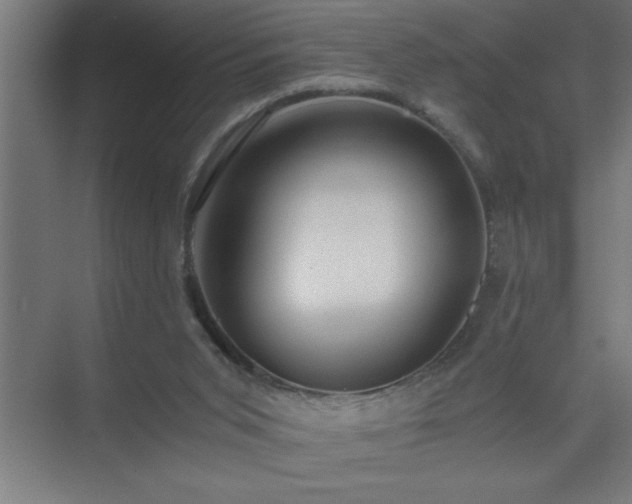 X0000075410015200609151859