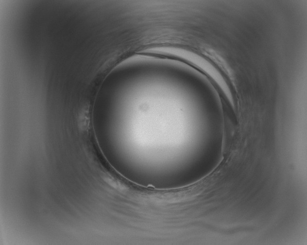 X0000075410017200609151859