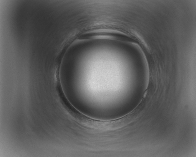 X0000075410023200609151858