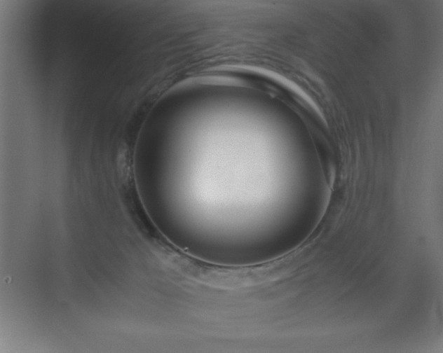 X0000075410029200609151858