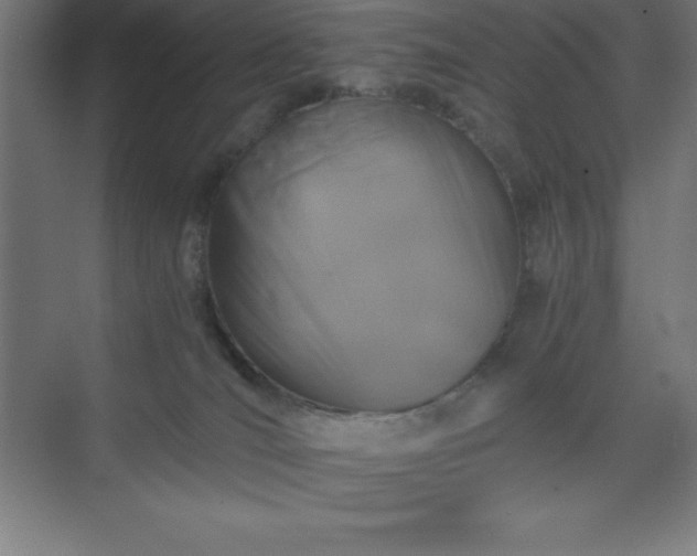 X0000075410036200609151858