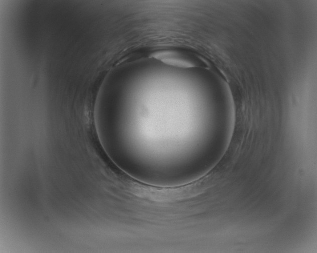 X0000075410039200609151858