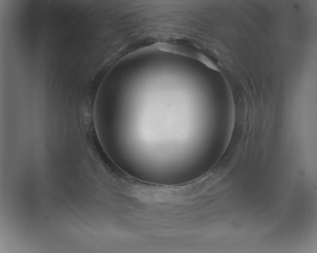 X0000075410040200609151858