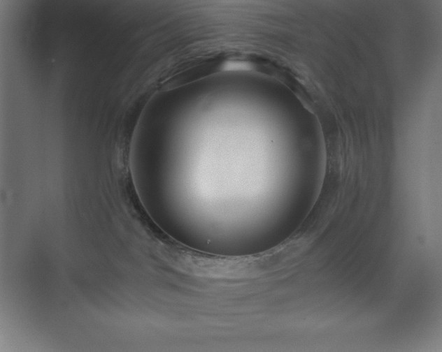 X0000075410044200609151858
