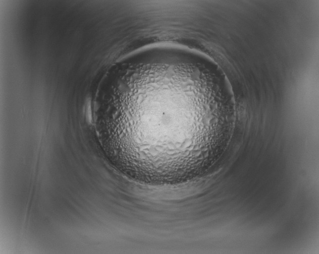 X0000075410046200609151858