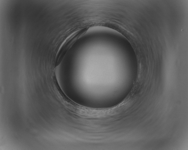 X0000075410048200609151858