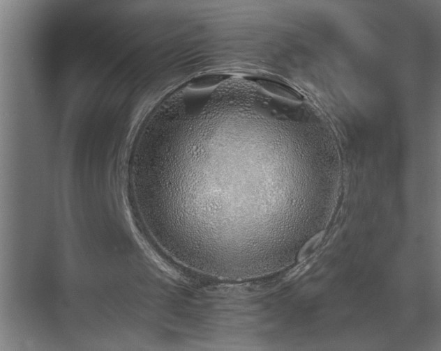 X0000075410049200609151857
