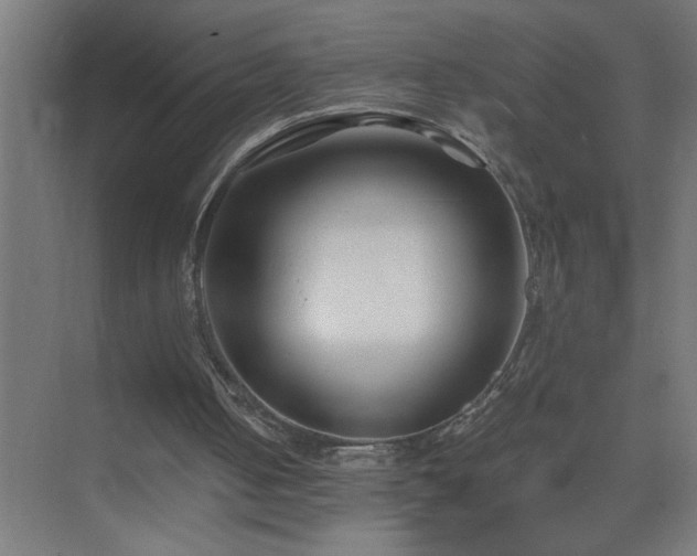 X0000075410050200609151857