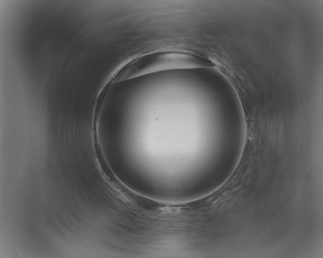 X0000075410052200609151857