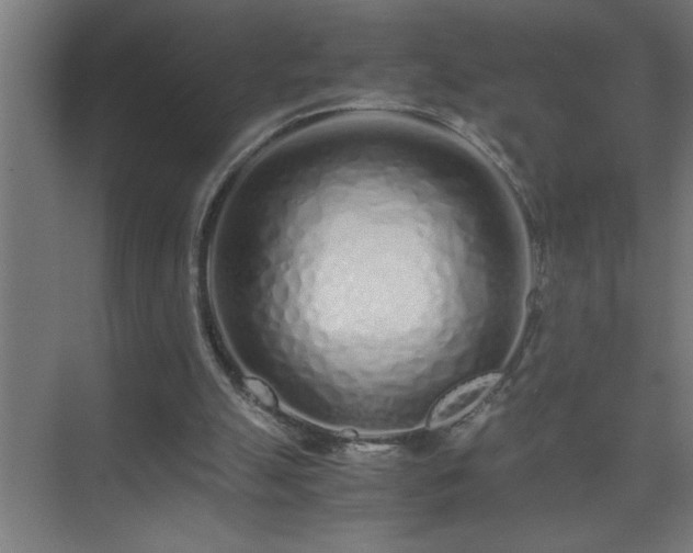 X0000075410055200609151857