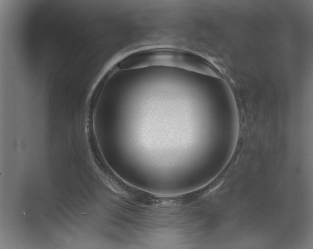 X0000075410056200609151857