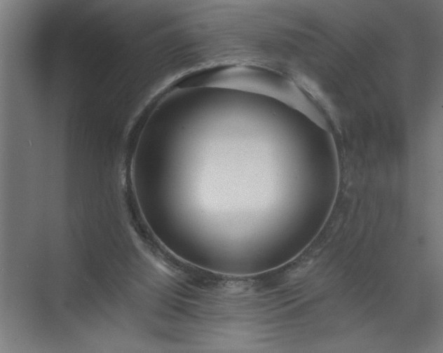 X0000075410060200609151857