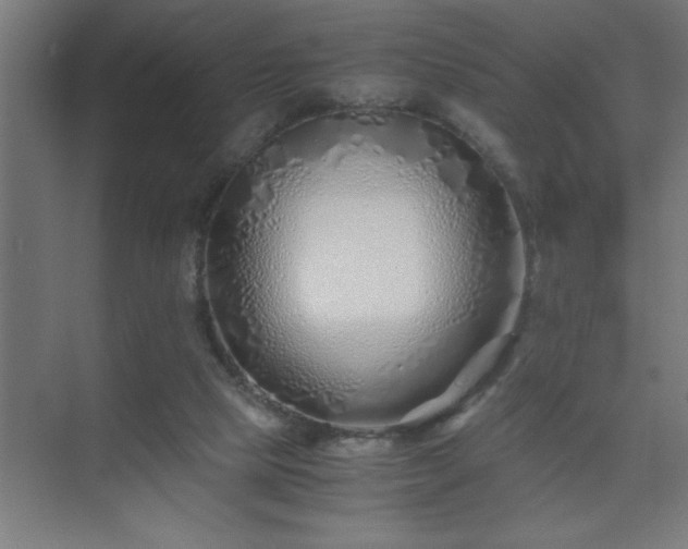 X0000075410065200609151857