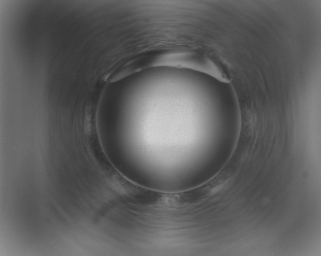 X0000075410080200609151858